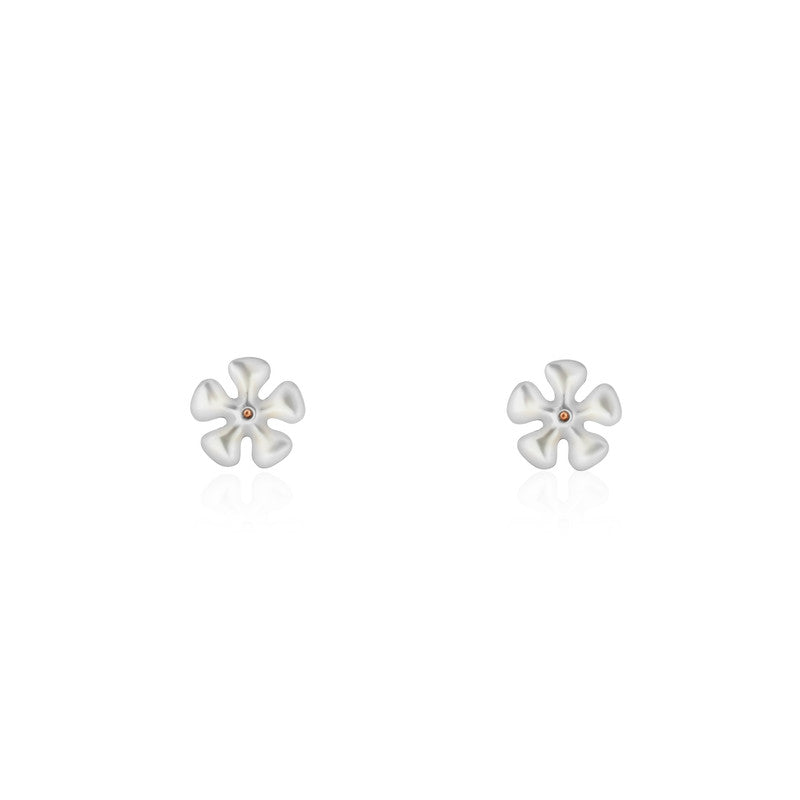 925 Silver Spinning Star Rose Gold Earrings