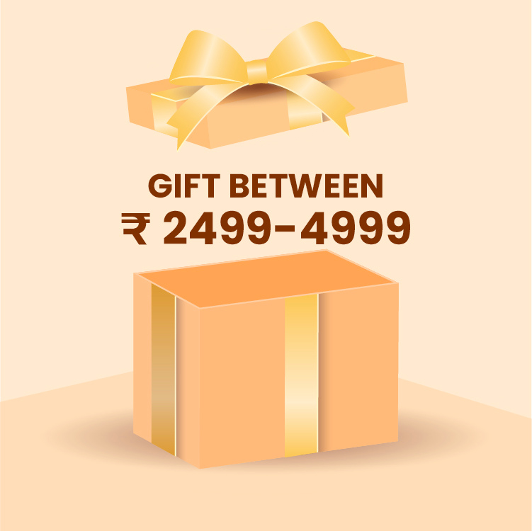 Gift Between 2499_4999
